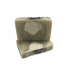 Load image into Gallery viewer, Coconut &amp; Aloe Soap
